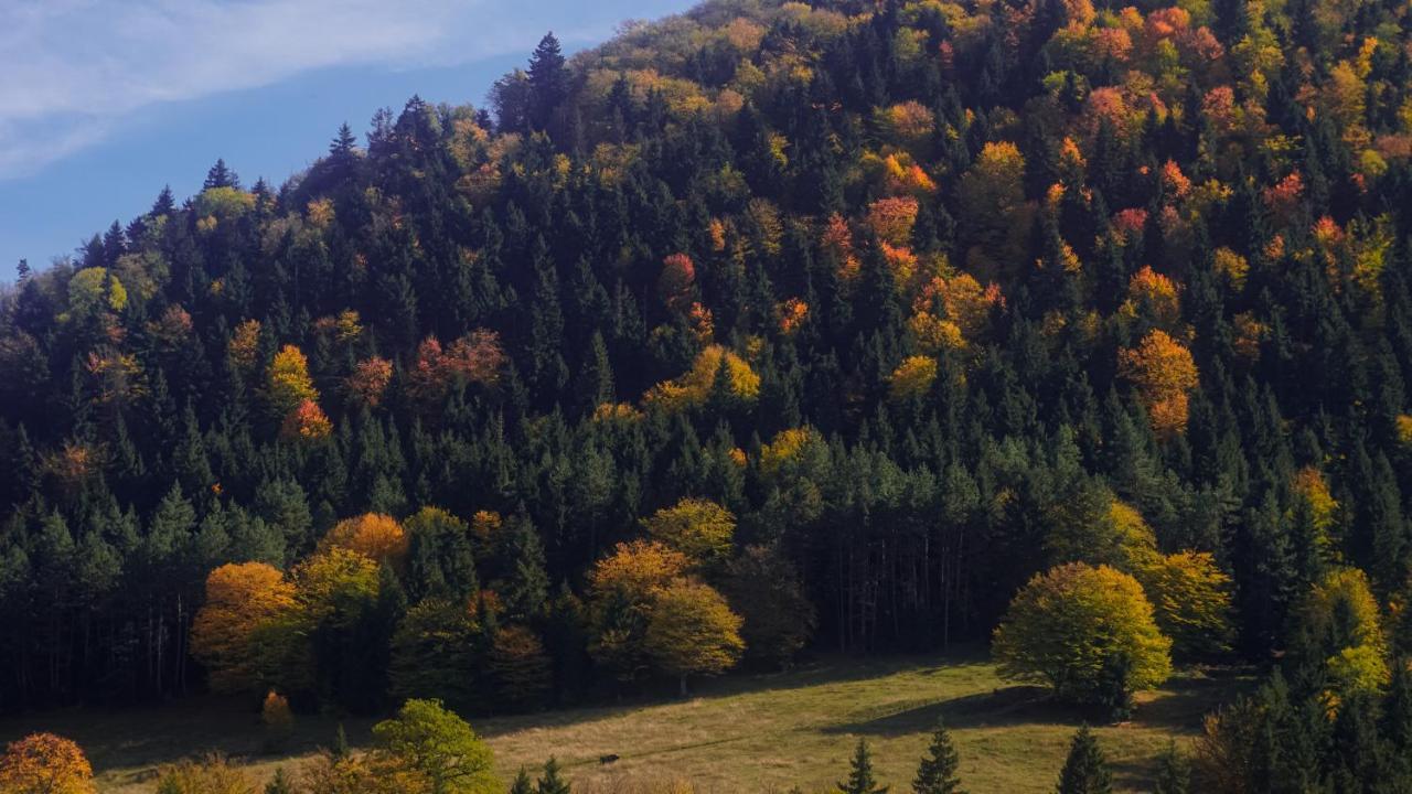 Landhaus Боржомі Екстер'єр фото