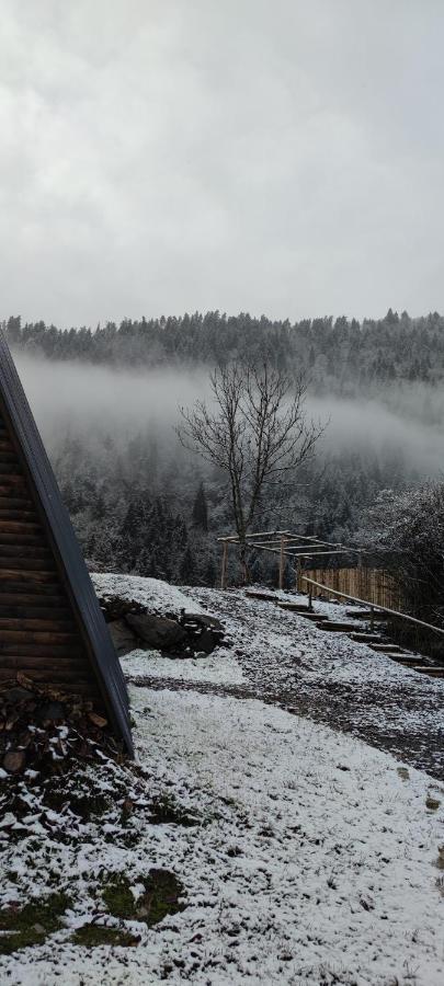 Landhaus Боржомі Екстер'єр фото