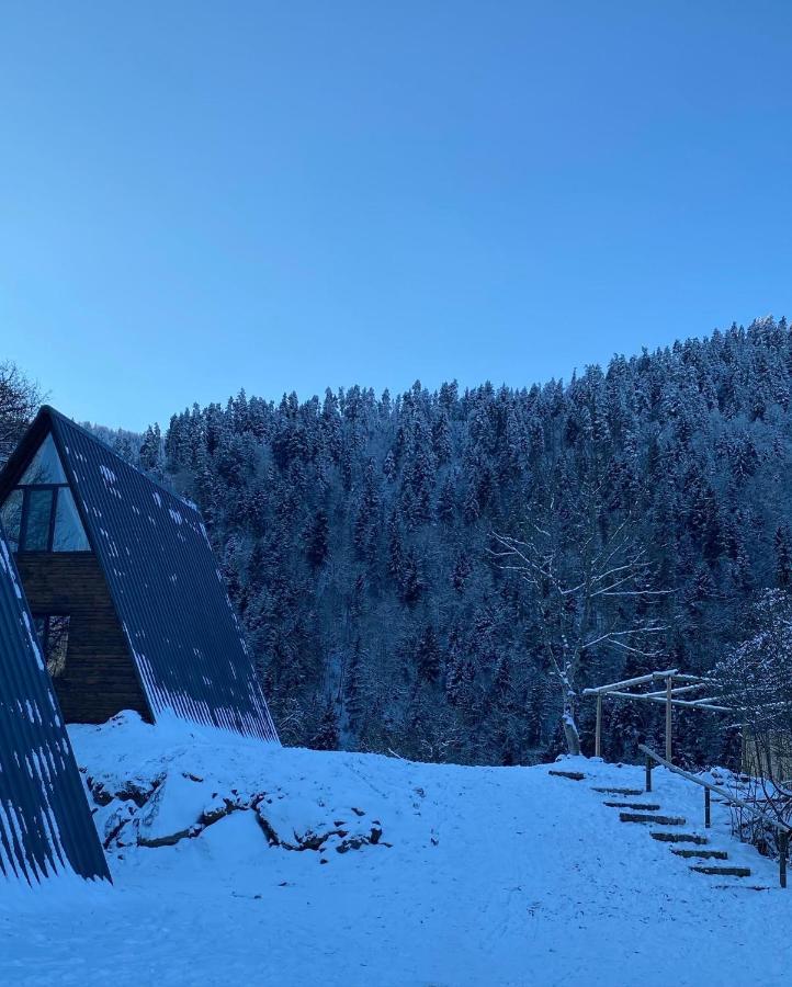 Landhaus Боржомі Екстер'єр фото