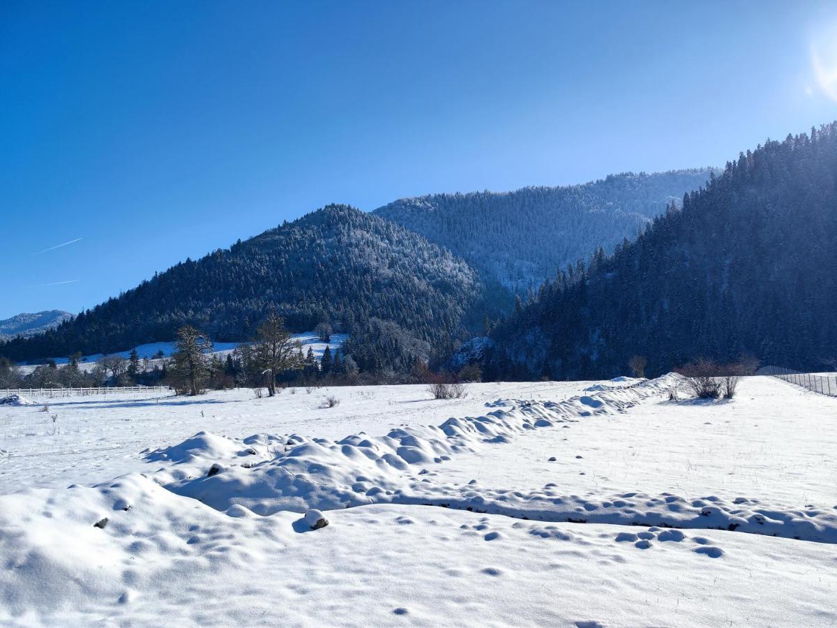 Landhaus Боржомі Екстер'єр фото